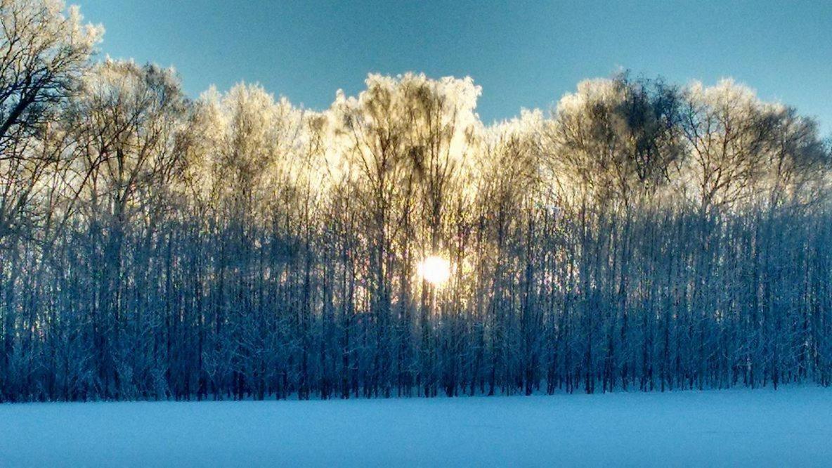 Chalupa Nad Popelkou Lomnice nad Popelkou Exteriör bild